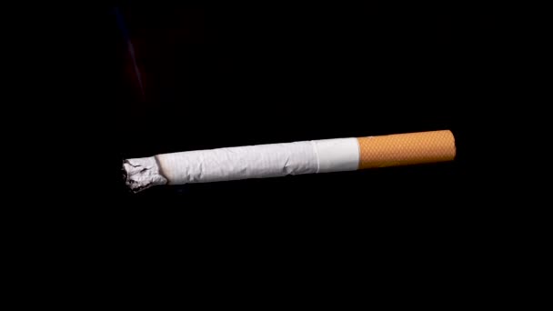 Cigarrillo ardiente sobre fondo negro, lapso de tiempo, toma de estudio profesional. - Metraje, vídeo