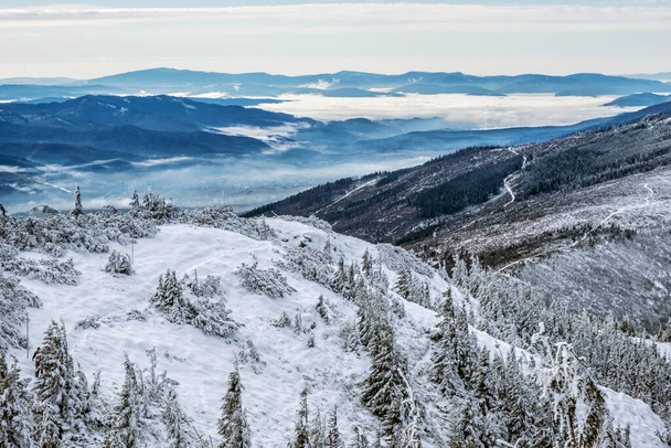 低タトラ山脈、スロバキア共和国の雪の針葉樹林。冬の自然風景。ハイキングのテーマ. - 写真・画像