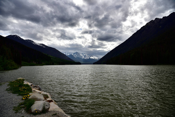 Темная вода озера Даффи, Британская Колумбия, Канада - Фото, изображение