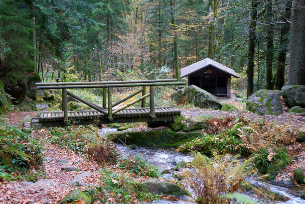 Ξύλινη γέφυρα διασχίζουν το νερό στο μαύρο δάσος, καλύβα στο παρασκήνιο, ωραίο μέρος για πεζοπορία. Γερμανία, Blackforest, Gertelbach. - Φωτογραφία, εικόνα