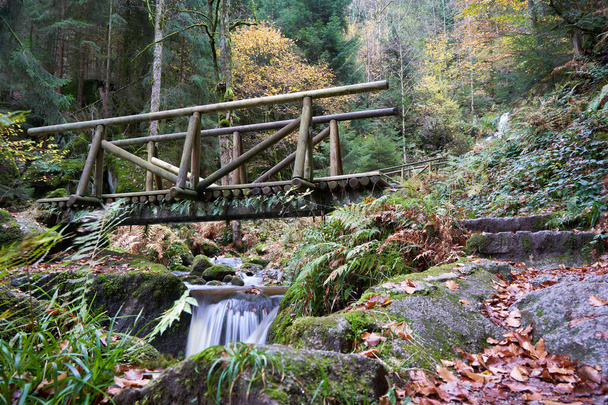 houten brug over een waterval van een waterval in het zwarte bos, veel planten en stenen met groen mos. Mooie plek om te wandelen. Duitsland, Blackforest, Gertelbach. - Foto, afbeelding