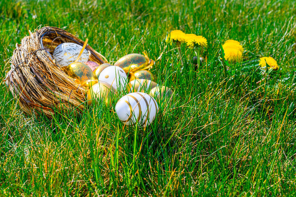 Coelhinho de ovos de Páscoa. Ovo de ouro com flores amarelas da primavera na cesta de celebração no fundo de grama verde. Decoração tradicional na luz do sol - Foto, Imagem