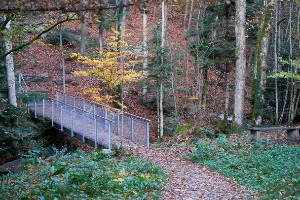 Стальной мост ведет через реку в черном лесу, через много листьев на гладком деревянном полу существует высокий риск скольжения и падения. Side View Germany, Blackforest, Gertelbach. - Фото, изображение