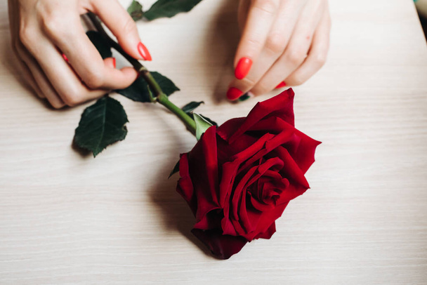 female hands with red roses. Love concept - Фото, изображение