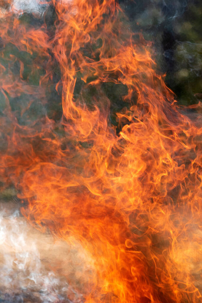 Wütendes Feuer, brennendes Feuer, Lagerfeuer, Brandbekämpfung - Foto, Bild