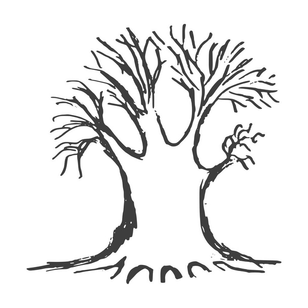 Symbolinen kuva puusta, jolla on laaja oksat ja juuret. Käsin piirretty, vektorin kuvitus kynätyyliin - Vektori, kuva