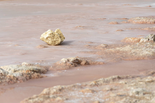 アラブ首長国連邦ラアス・アル・ハイマの藻類、塩、鉱物から近いピンクの湖の岩. - 写真・画像