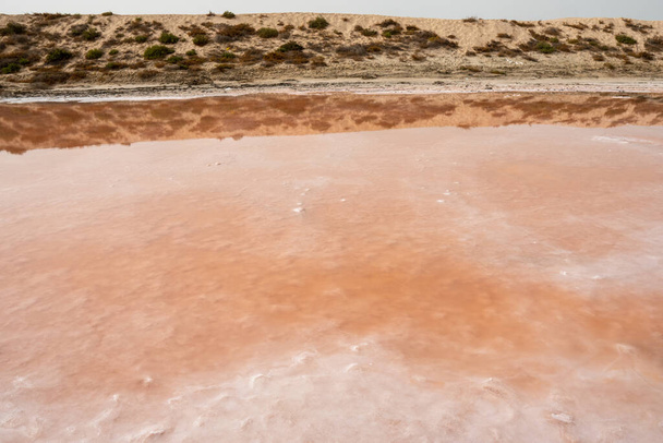 Lac rose et dunes de sable vue depuis les algues, le sel et les minéraux à Ras al Khaimah, Émirats arabes unis. - Photo, image