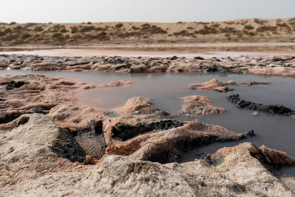 アラブ首長国連邦ラアス・アル・ハイマの藻類、塩、鉱物からのピンクの湖と黒の暗い砂の地面の景色. - 写真・画像