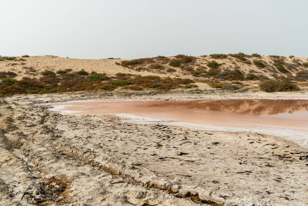 Perge of Pink lake and sand dűnék kilátás algák, só és ásványi anyagok Ras al Khaimah, Egyesült Arab Emírségek. - Fotó, kép