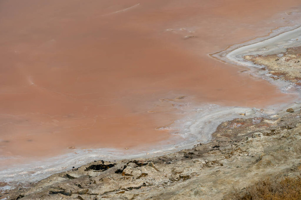 Borde del lago rosa de cerca con bordes de sal blanca en la arena en Al Rams, Emiratos Árabes Unidos en Ras al Khaimah Emirate. - Foto, Imagen