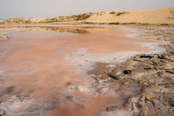 Rózsaszín tó és homokdűnék kilátás a víz széléről, algák, só és ásványi anyagok Ras al Khaimah, Egyesült Arab Emírségek. - Fotó, kép
