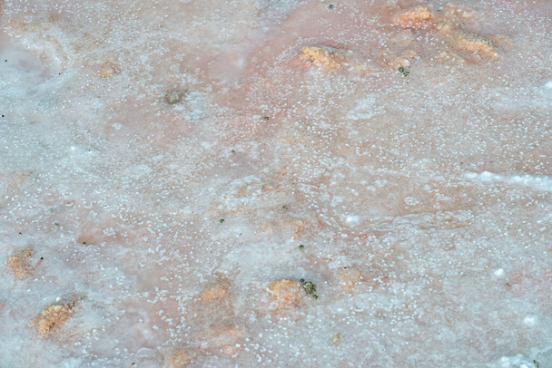 Kryształy słonej wody makro blisko w różowym jeziorze wodnym z alg i minerały w Ras al Khaimah, Zjednoczone Emiraty Arabskie - Zdjęcie, obraz