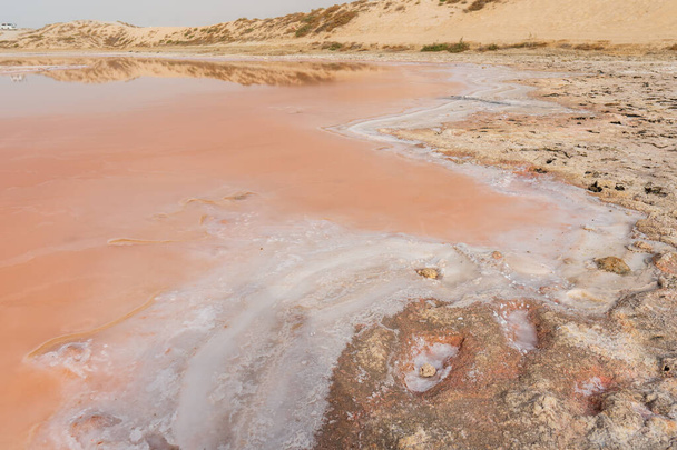 Różowe jeziora i wydmy widok z brzegu wody, z alg, soli i minerałów w Ras al Khaimah, Zjednoczone Emiraty Arabskie. - Zdjęcie, obraz
