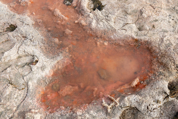 Rosafarbenes rötliches Wasser in Sand aus Algen, Mineralien und Salzvorkommen in Ras al Khaimah, Vereinigte Arabische Emirate - Foto, Bild