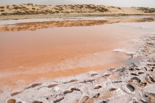 Lago rosado y dunas de arena vista desde el borde del agua, desde algas, sal y minerales en Ras al Khaimah, Emiratos Árabes Unidos. - Foto, Imagen