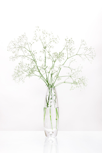 White flowers in vase isolated on white - Foto, imagen