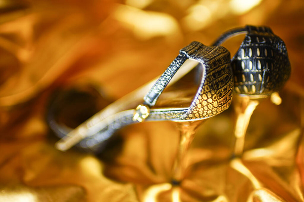 Hadí sandály stojící na zlatém vinylu - Fotografie, Obrázek