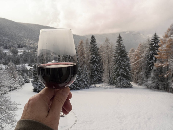 Una copa de vino en mi mano para brindar en un paisaje nevado - Foto, imagen