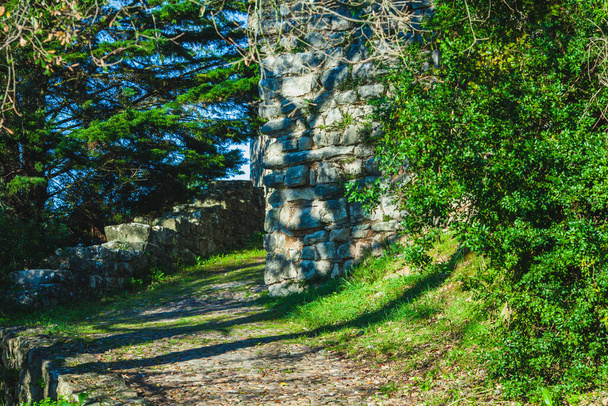 road around an medieval portuguese castle - Foto, immagini