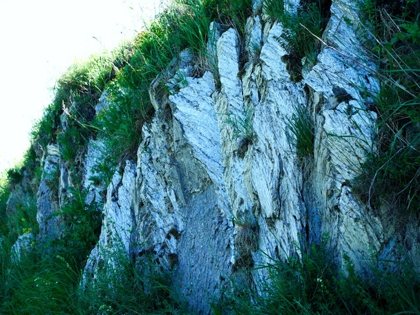 Reserva natural de Przlin - las llamadas colas de milano, es decir exposiciones de grandes yesos cristalinos de hasta 3 m de altura (también se llaman vidrio debido a la superficie que brilla en el sol) - Foto, imagen