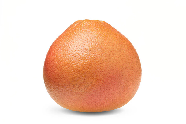 Nagy grapefruit izolált fehér alapon. Érett citrusfélék nyesedési útvonallal. - Fotó, kép