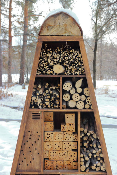 drewniana struktura gniazdo owadów w ogrodzie botanicznym - Zdjęcie, obraz