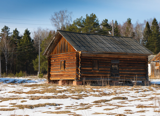 деревянный дом в лесу - Фото, изображение