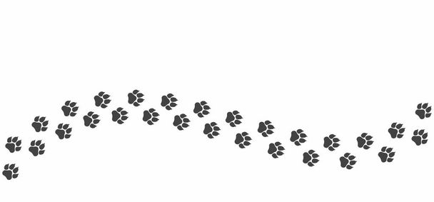 Zwarte kattenpoot pad geïsoleerd op witte achtergrond. Het gebogen vectorpad van kattenvoetafdrukken. - Vector, afbeelding