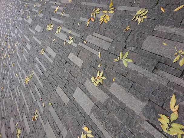 Листья деревьев на тротуаре - Фото, изображение