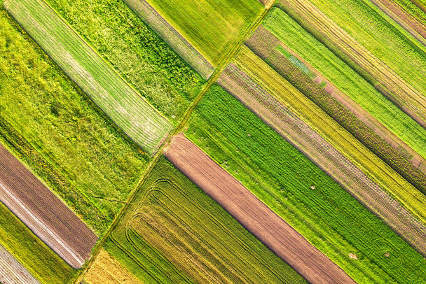 Vista aérea de campos agrícolas verdes na primavera com vegetação fresca após a estação de semeadura em um dia ensolarado quente. - Foto, Imagem