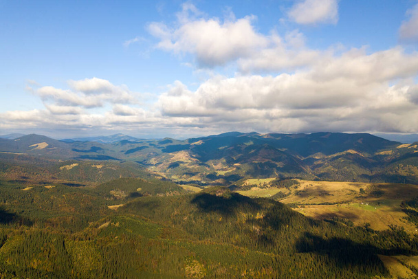 Вид з повітря на яскраво-зелену ялину і жовті осінні дерева в осінньому лісі і далеких високих горах
. - Фото, зображення