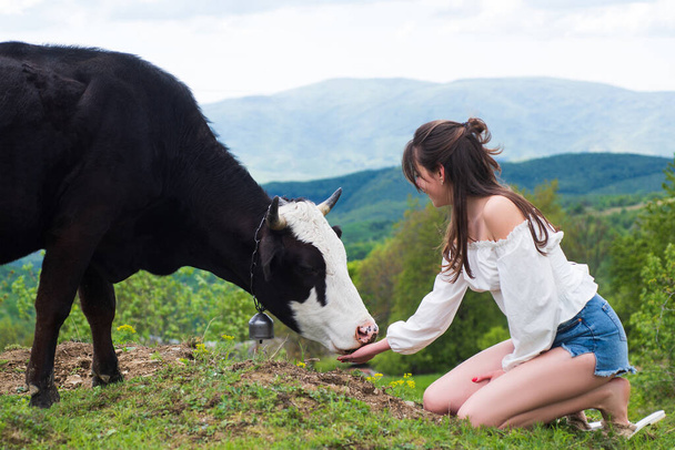 Woman feeding cow. Farmer girl with holstein cow on meadow. FarmerVegan, vegetarian concept. Take in veggie. Healthy lifestyle, organic field milka. - Fotó, kép