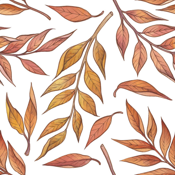 Watercolor autumn seamless pattern. Gold, orange, burgundy, brown and red leaves and autumn berries - Photo, Image