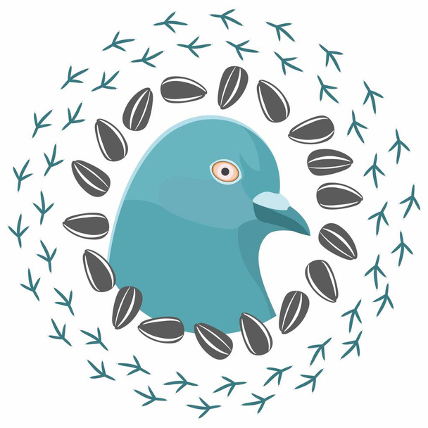 The head of a turquoise dove in a circle of seeds and bird foot prints. Vector dove isolated on a white background. Logo for bird lovers - Vector, Image