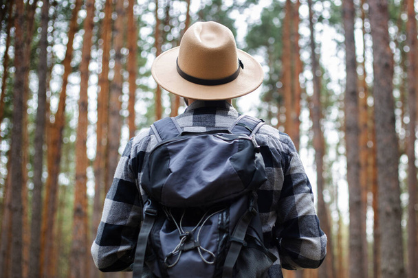 Молодой человек в шляпе с рюкзаком в сосновом лесу. Пешие прогулки в горах или лесу. - Фото, изображение