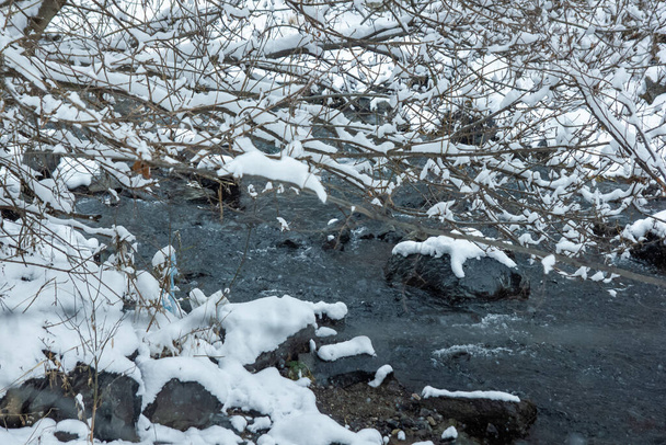 bevroren rivier in de winter, besneeuwde bomen in de winter - Foto, afbeelding