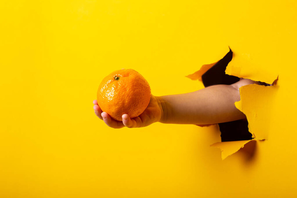 mano de mujer sosteniendo mandarina fresca sobre un fondo amarillo roto. - Foto, imagen