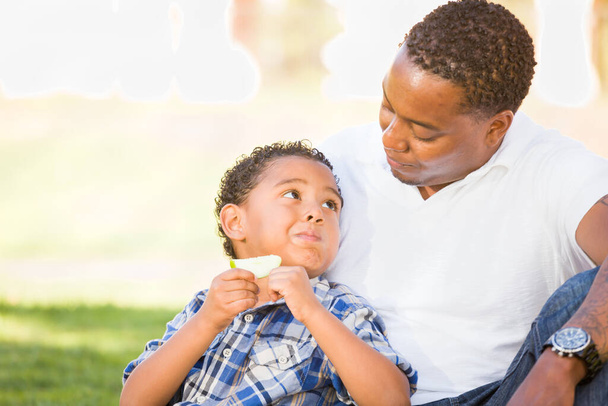 Αφροαμερικανός πατέρας και μικτή φυλή γιος τρώει ένα μήλο στο πάρκο. - Φωτογραφία, εικόνα