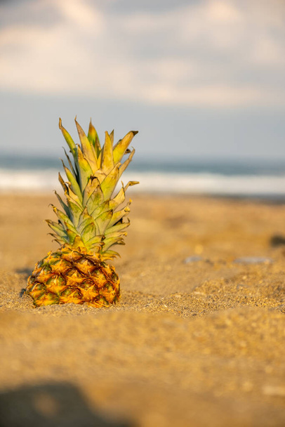 Bio-Ananas am Strand - Foto, Bild