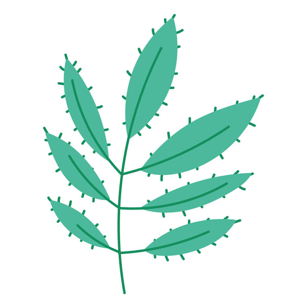 branch nature leaves decoration cartoon icon isolated design - Διάνυσμα, εικόνα