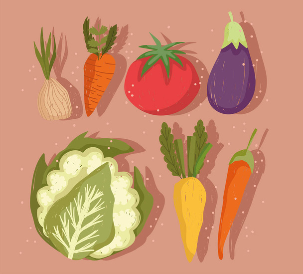 vihannekset porkkana munakoiso kukkakaali porkkana ja chili pippuri kuvakkeet - Vektori, kuva