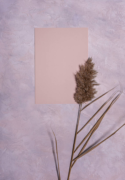 Natural dried reed flowers and blank peach colored textured paper sheet on textured dusk concrete background. Copy space. Mochup with organic floral design in pastel colors. Vertical orientation. - Фото, зображення
