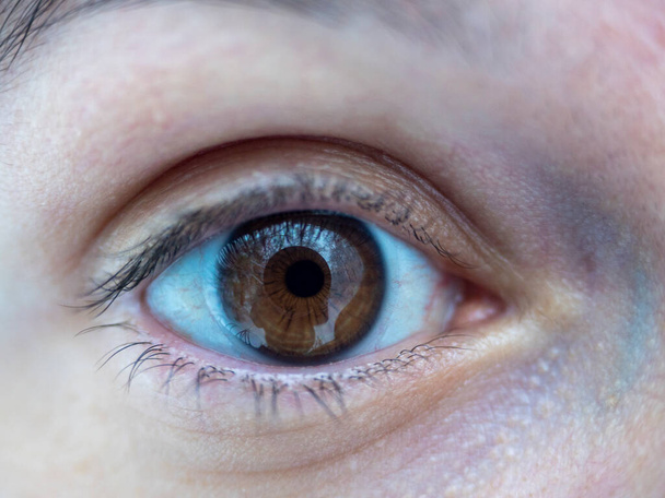 close up of a woman's eyes brown looking directly into the camera - Photo, Image