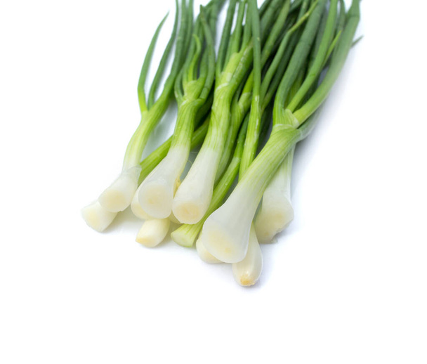 picture of fresh bunch of green onions or scallions placed on white background - Photo, Image