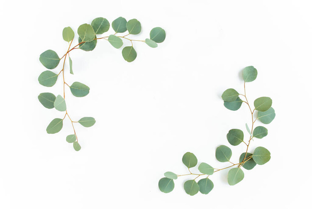 Wreath frame made of branches eucalyptus and leaves isolated on white background. lay flat, top view - 写真・画像