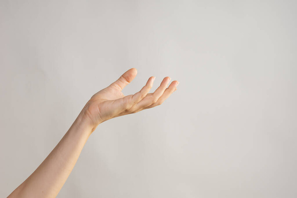 Hand gestures. Elegant female hand, pointing to the side - Fotoğraf, Görsel