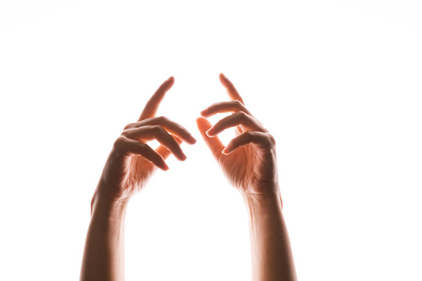 Hand gestures. Elegant female hands point upward, isolated on white, - 写真・画像
