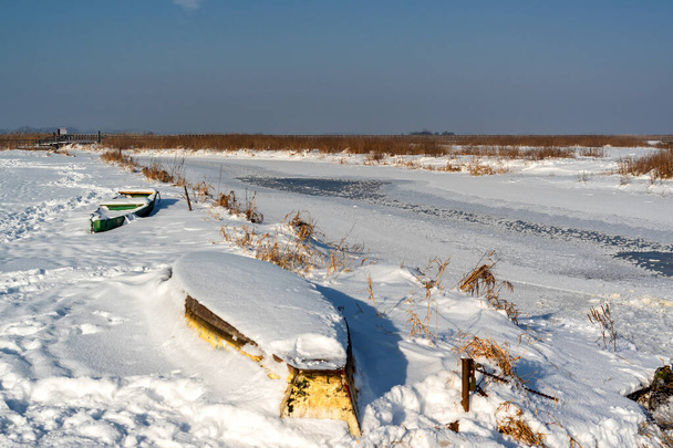 Kaunis talvipäivä Narew 'n kansallispuistossa, Podlasie, Puola - Valokuva, kuva