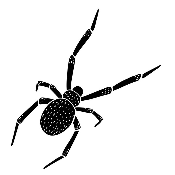 Hand draw doodle black spider. Vector illustration. - Vecteur, image